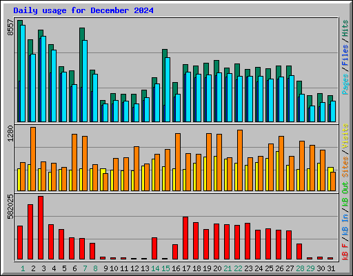 Daily usage for December 2024