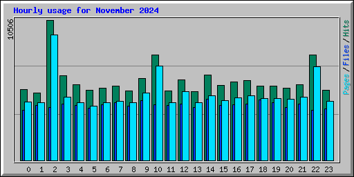 Hourly usage for November 2024