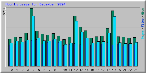 Hourly usage for December 2024