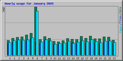 Hourly usage for January 2025