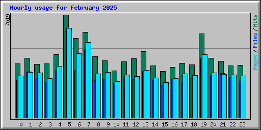 Hourly usage for February 2025