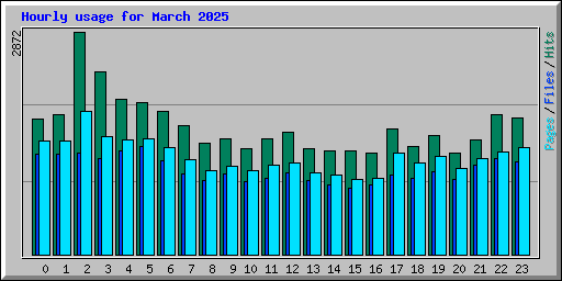 Hourly usage for March 2025