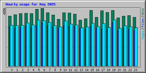 Hourly usage for May 2025