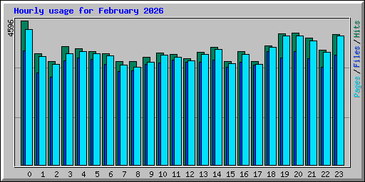 Hourly usage for February 2026
