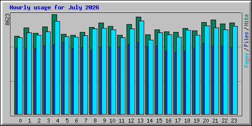 Hourly usage for July 2026